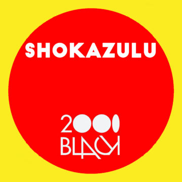 shokazulu navigate your soul peace to the puzzle