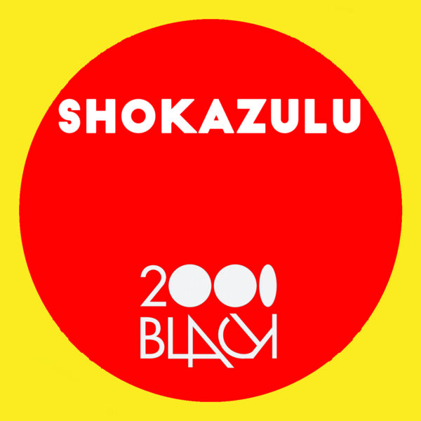 shokazulu navigate your soul peace to the puzzle
