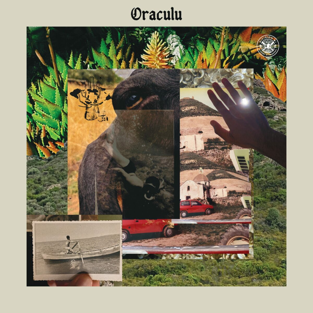 oraculu