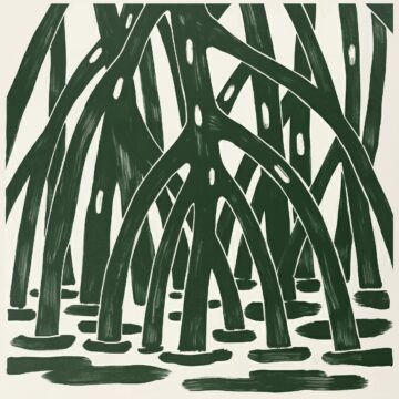 Stefano pardon mangrovia underwater