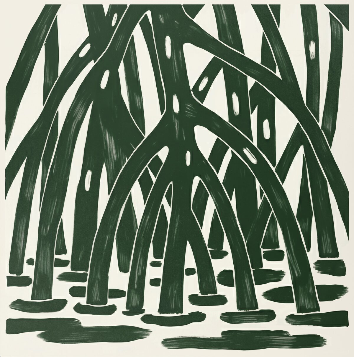 Stefano pardon mangrovia underwater