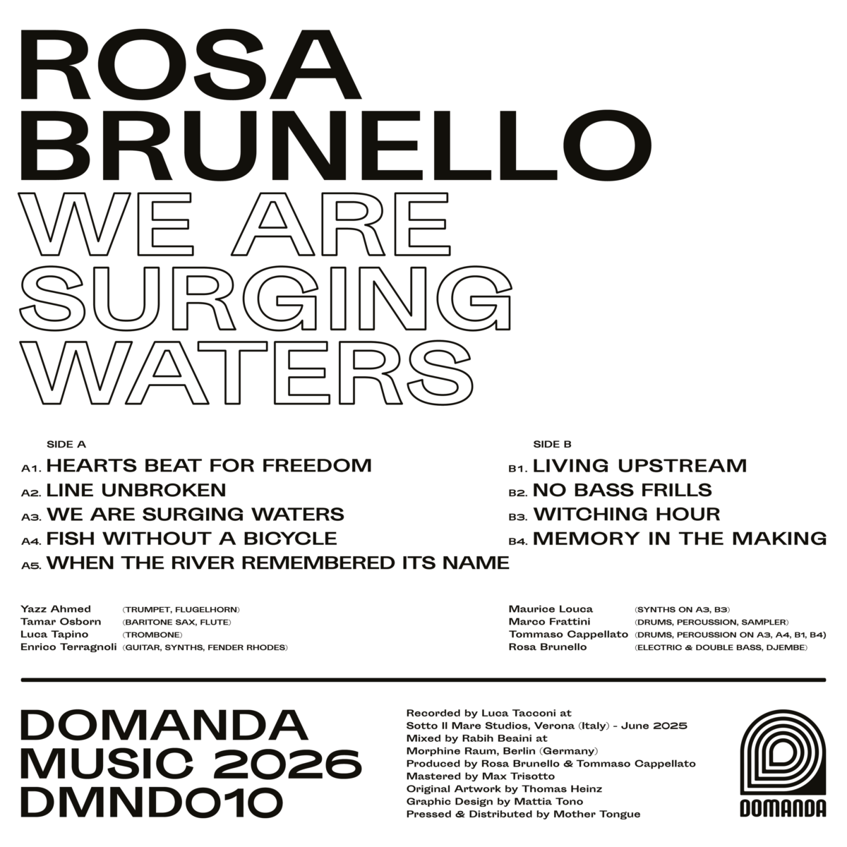 rosa brunetto we are surging waters